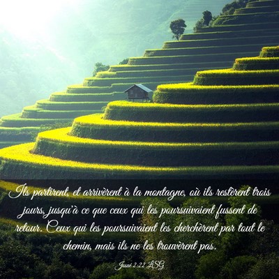Picture 03 - Josué 2:22 LSG - Ils partirent, et arrivèrent à la montagne, où - Bible Verse Picture