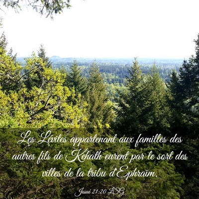 Picture 03 - Josué 21:20 LSG - Les Lévites appartenant aux familles des autres - Bible Verse Picture