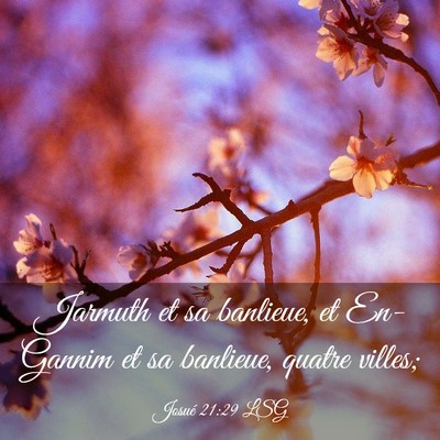 Picture 03 - Josué 21:29 LSG - Jarmuth et sa banlieue, et En-Gannim et sa - Bible Verse Picture