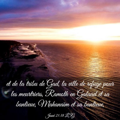 Picture 03 - Josué 21:38 LSG - et de la tribu de Gad, la ville de refuge pour - Bible Verse Picture