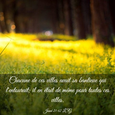 Picture 03 - Josué 21:42 LSG - Chacune de ces villes avait sa banlieue qui - Bible Verse Picture