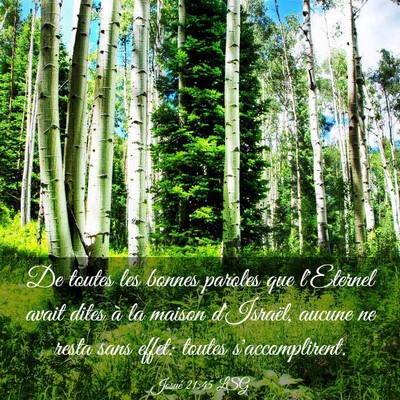 Picture 03 - Josué 21:45 LSG - De toutes les bonnes paroles que l'Eternel avait - Bible Verse Picture