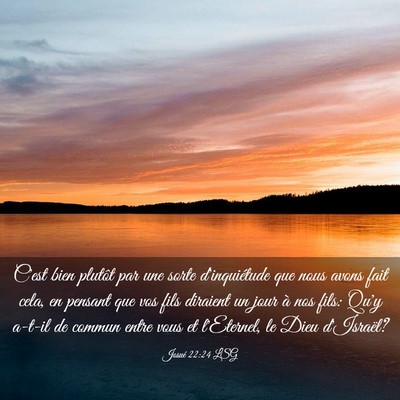 Picture 03 - Josué 22:24 LSG - C'est bien plutôt par une sorte d'inquiétude - Bible Verse Picture
