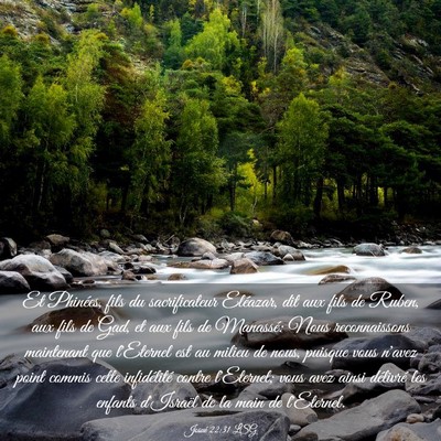 Picture 03 - Josué 22:31 LSG - Et Phinées, fils du sacrificateur Eléazar, dit - Bible Verse Picture