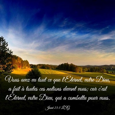 Picture 03 - Josué 23:3 LSG - Vous avez vu tout ce que l'Eternel, votre Dieu, a - Bible Verse Picture