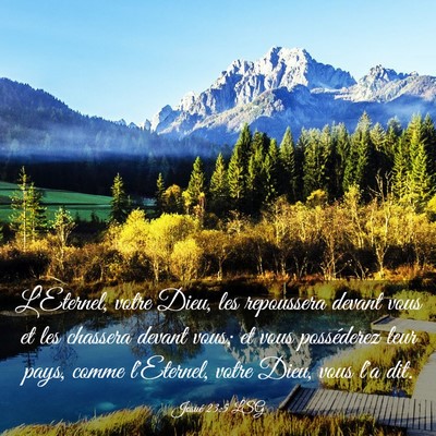 Picture 03 - Josué 23:5 LSG - L'Eternel, votre Dieu, les repoussera devant vous - Bible Verse Picture