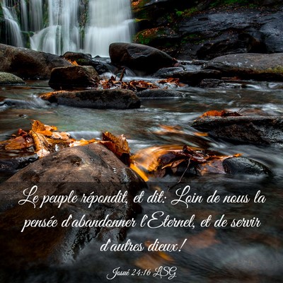 Picture 03 - Josué 24:16 LSG - Le peuple répondit, et dit: Loin de nous la - Bible Verse Picture