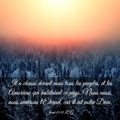 Picture 03 - Josué 24:18 LSG - Il a chassé devant nous tous les peuples, et les - Bible Verse Picture