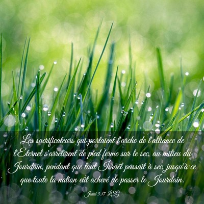 Picture 03 - Josué 3:17 LSG - Les sacrificateurs qui portaient l'arche de - Bible Verse Picture