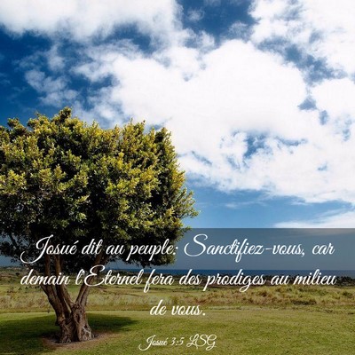 Picture 03 - Josué 3:5 LSG - Josué dit au peuple: Sanctifiez-vous, car demain - Bible Verse Picture