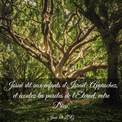 Picture 03 - Josué 3:9 LSG - Josué dit aux enfants d'Israël: Approchez, et - Bible Verse Picture