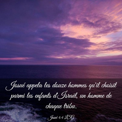 Picture 03 - Josué 4:4 LSG - Josué appela les douze hommes qu'il choisit - Bible Verse Picture