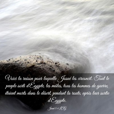 Picture 03 - Josué 5:4 LSG - Voici la raison pour laquelle Josué les - Bible Verse Picture