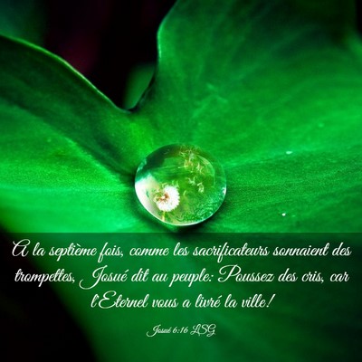 Picture 03 - Josué 6:16 LSG - A la septième fois, comme les sacrificateurs - Bible Verse Picture