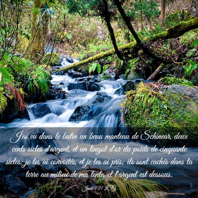 Picture 03 - Josué 7:21 LSG - J'ai vu dans le butin un beau manteau de - Bible Verse Picture