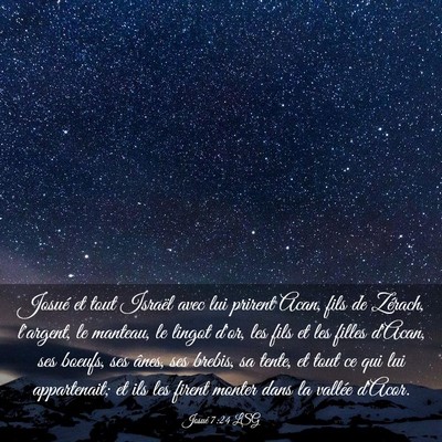 Picture 03 - Josué 7:24 LSG - Josué et tout Israël avec lui prirent Acan, - Bible Verse Picture