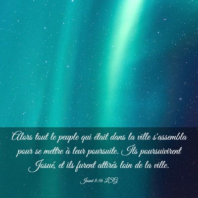 Picture 03 - Josué 8:16 LSG - Alors tout le peuple qui était dans la ville - Bible Verse Picture