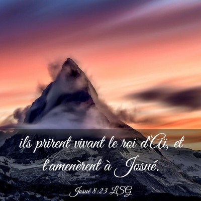 Picture 03 - Josué 8:23 LSG - ils prirent vivant le roi d'Aï, et l'amenèrent - Bible Verse Picture