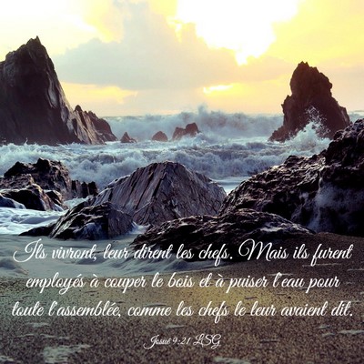 Picture 03 - Josué 9:21 LSG - Ils vivront, leur dirent les chefs. Mais ils - Bible Verse Picture