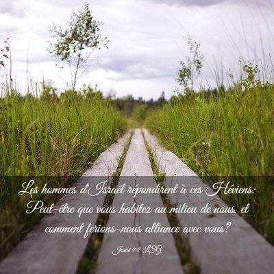 Picture 03 - Josué 9:7 LSG - Les hommes d'Israël répondirent à ces - Bible Verse Picture