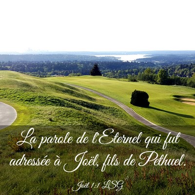 Picture 03 - Joël 1:1 LSG - La parole de l'Eternel qui fut adressée à - Bible Verse Picture