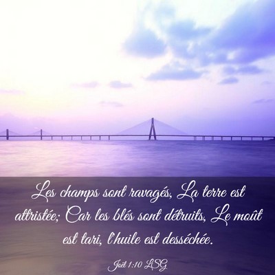 Picture 03 - Joël 1:10 LSG - Les champs sont ravagés, La terre est - Bible Verse Picture