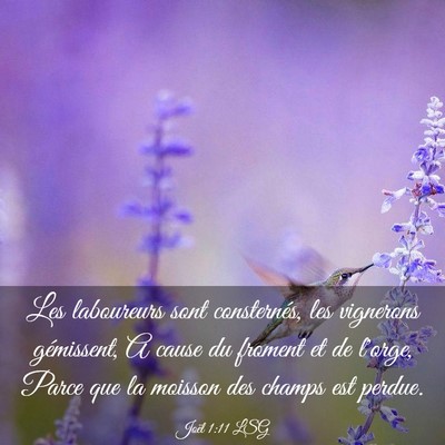 Picture 03 - Joël 1:11 LSG - Les laboureurs sont consternés, les vignerons - Bible Verse Picture