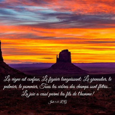 Picture 03 - Joël 1:12 LSG - La vigne est confuse, Le figuier languissant; Le - Bible Verse Picture