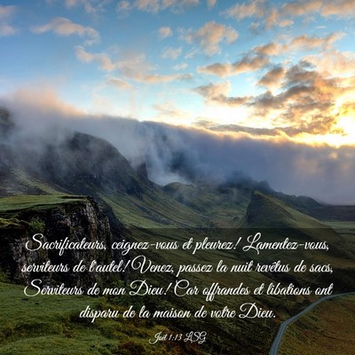 Picture 03 - Joël 1:13 LSG - Sacrificateurs, ceignez-vous et pleurez! - Bible Verse Picture