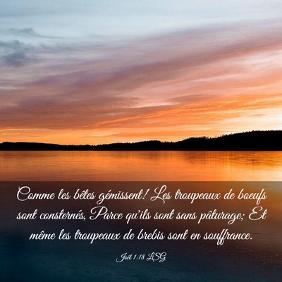 Picture 03 - Joël 1:18 LSG - Comme les bêtes gémissent! Les troupeaux de - Bible Verse Picture