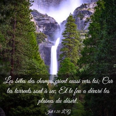 Picture 03 - Joël 1:20 LSG - Les bêtes des champs crient aussi vers toi; Car - Bible Verse Picture