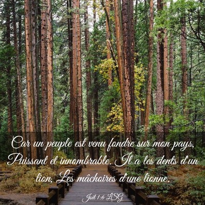 Picture 03 - Joël 1:6 LSG - Car un peuple est venu fondre sur mon pays, - Bible Verse Picture