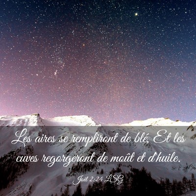 Picture 03 - Joël 2:24 LSG - Les aires se rempliront de blé, Et les cuves - Bible Verse Picture