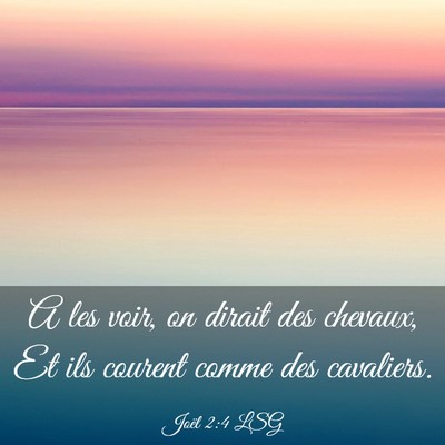 Picture 03 - Joël 2:4 LSG - A les voir, on dirait des chevaux, Et ils courent - Bible Verse Picture