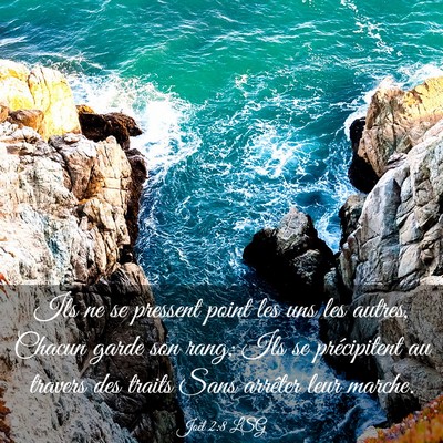 Picture 03 - Joël 2:8 LSG - Ils ne se pressent point les uns les autres, - Bible Verse Picture
