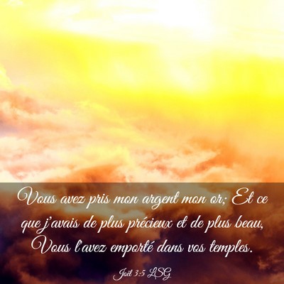 Picture 03 - Joël 3:5 LSG - Vous avez pris mon argent mon or; Et ce que - Bible Verse Picture
