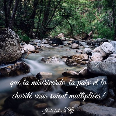 Picture 03 - Jude 1:2 LSG - que la miséricorde, la paix et la charité vous - Bible Verse Picture