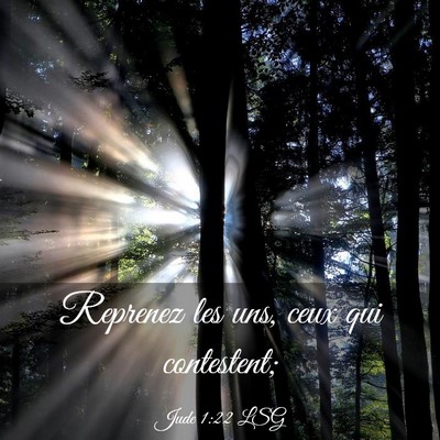 Picture 03 - Jude 1:22 LSG - Reprenez les uns, ceux qui - Bible Verse Picture