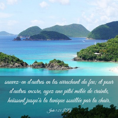 Picture 03 - Jude 1:23 LSG - sauvez-en d'autres en les arrachant du feu; et - Bible Verse Picture