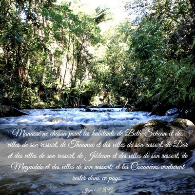 Picture 03 - Juges 1:27 LSG - Manassé ne chassa point les habitants de - Bible Verse Picture