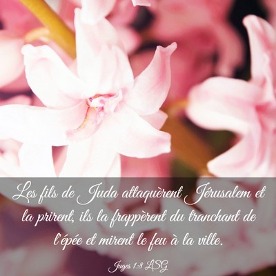 Picture 03 - Juges 1:8 LSG - Les fils de Juda attaquèrent Jérusalem et la - Bible Verse Picture