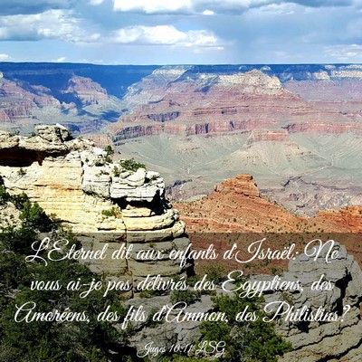 Picture 03 - Juges 10:11 LSG - L'Eternel dit aux enfants d'Israël: Ne vous - Bible Verse Picture