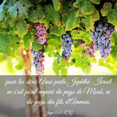 Picture 03 - Juges 11:15 LSG - pour lui dire: Ainsi parle Jephthé: Israël ne - Bible Verse Picture