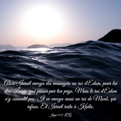 Picture 03 - Juges 11:17 LSG - Alors Israël envoya des messagers au roi d'Edom, - Bible Verse Picture