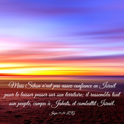 Picture 03 - Juges 11:20 LSG - Mais Sihon n'eut pas assez confiance en Israël - Bible Verse Picture