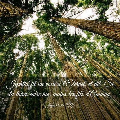 Picture 03 - Juges 11:30 LSG - Jephthé fit un voeu à l'Eternel, et dit: Si tu - Bible Verse Picture