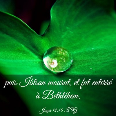 Picture 03 - Juges 12:10 LSG - puis Ibtsan mourut, et fut enterré à - Bible Verse Picture
