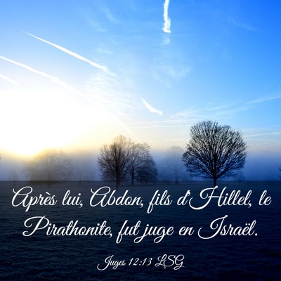 Picture 03 - Juges 12:13 LSG - Après lui, Abdon, fils d'Hillel, le Pirathonite, - Bible Verse Picture