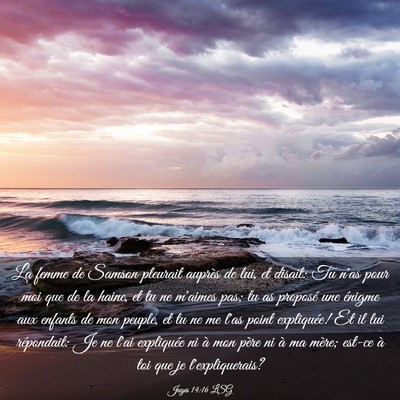 Picture 03 - Juges 14:16 LSG - La femme de Samson pleurait auprès de lui, et - Bible Verse Picture