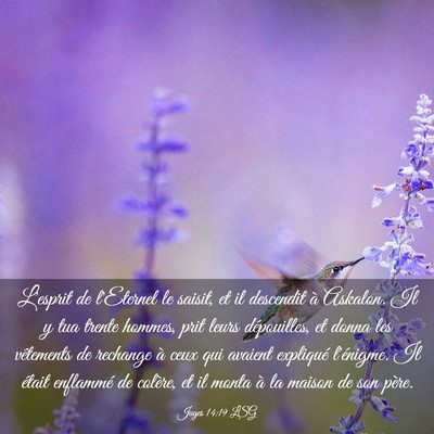 Picture 03 - Juges 14:19 LSG - L'esprit de l'Eternel le saisit, et il descendit - Bible Verse Picture